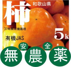 _`Ea̎Ȑ{̊`5kgi20`25j10{JnL@JASi_EYjI[KjbN