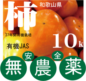 _`Ea̎Ȑ{̊`10kg i30`40j10{JnL@JASi_EYjI[KjbN5kg2̂͂ƂȂ܂B