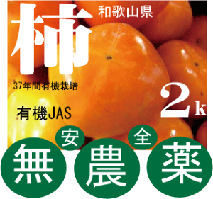無農薬柿・和歌山の松本さんの柿2kg(約10個前後)★10月上旬発送開始★有機JAS(無農薬・無添加)★オーガニック