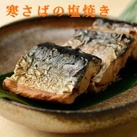 無添加缶詰・千葉産直 焼き塩さば 100g・缶入★国内産100%★青魚缶詰★6個までコンパクト便可