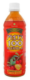 アセロラ100（ペットボトル） 500ml ×24本【1梱包となり同梱はできません】★オーサワジャパン