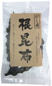 kCYz60gY1002܂ŃlR|X։I[TWp