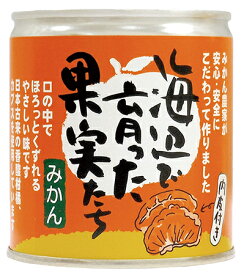 楽天市場 無添加 フルーツ 果物 缶詰 食品の通販