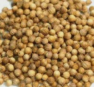 _RA_[V[hiƖpj1kgCOI[KjbNFؕiATE1łB