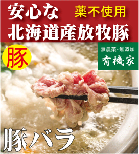 Sؓ@kCu_̓ؓv؃oXCX200gYikCWÎYjN[Ⓚ֔zREzܕsgp_t@[Rq灚SؓYؓsg