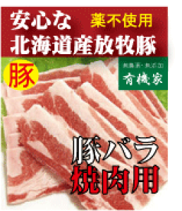 Sؓ@kCu_̓ؓvoēp200g(ⓀjYikCWÎYjN[Ⓚ֔zREzܕsgp_t@[Rq灚SؓYؓ