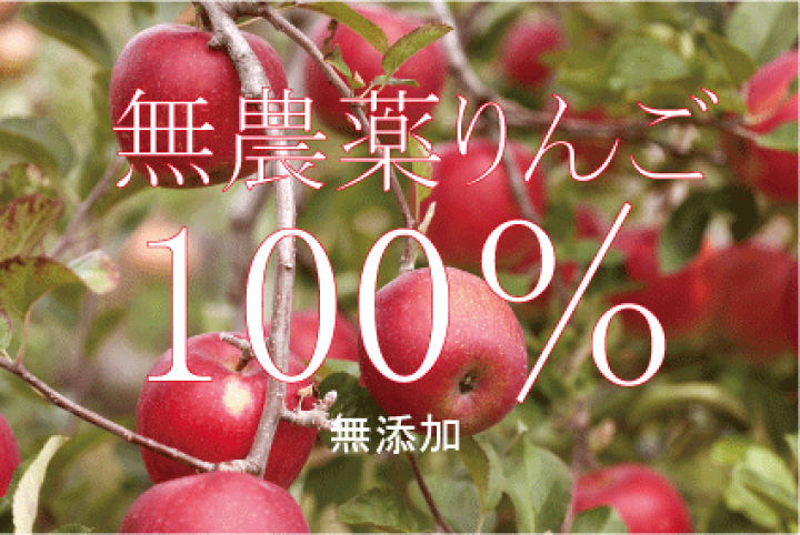 楽天市場】無農薬りんごジュース1リットル×6本☆国内産100