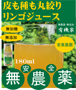Y񂲃W[X180mlt_̔ۍi聚_EYsgpXg[g^Cv~l|tFm[Ղ聚SW[X