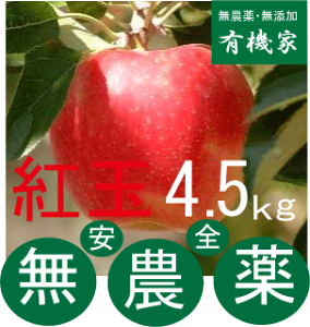 _񂲁ugʁv4.5Kg`5kg18`25Oずeq246N_͔|EXut_vyŁE܁Ew_Ew엿sgp10{