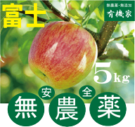 無農薬りんご「富士」5kg★約24個前後★親子2代46年間無農薬栽培・青森県「若葉農園」★土壌消毒・除草剤…