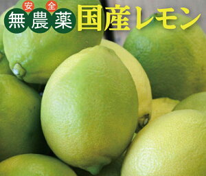 _@Yi2j×2pbNN[①ցm[bNXhJrܕsgpQXYJrĂ͂ꍇ͂ւ܂B