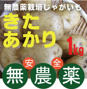 _򂶂Ⴊ1kg_EYtYiFL^AJ~ߏ