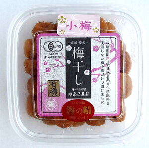Y L@~i~j120g×2RCEC̐gpQnYL@~gpL@JASiw_Aw엿E܈ؕsgpj䂠_
