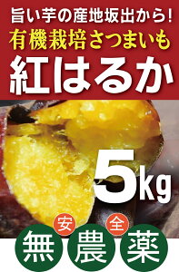 L@܂ g͂邩5kgL@JASE_EY쌧Y