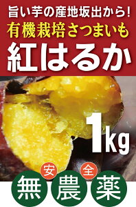 L@܂ g͂邩1kgL@JASE_EY쌧Y