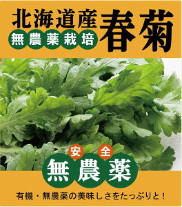 _te1pbNi 150gj_EYkCY