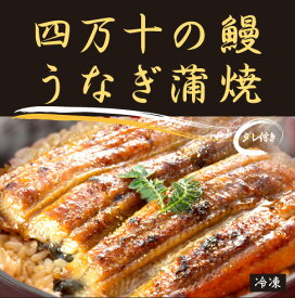 四万十の鰻　うなぎ蒲焼（タレ付）（1尾：約130g）×2パック＜冷凍品＞★天然物にならぶ美味しさ「加持さんのうなぎ」★抗生物質など薬不使用★無添加（化学調味料・着色料など一切使用）★数量に限りがありますので日にち指定はできません。