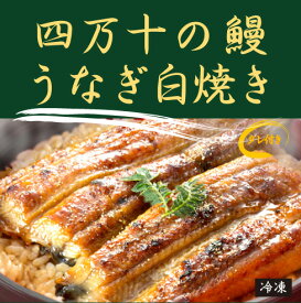 四万十の鰻　うなぎ白焼き（タレ付）（1尾：約130g）×2パック＜冷凍品＞★天然物にならぶ美味しさ「加持さんのうなぎ」★抗生物質など薬不使用★無添加（化学調味料・着色料など一切使用）★数量に限りがありますので日にち指定はできません。