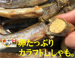 ՂJtgⓀ10×2pbNN[ⓀցJi_YJtgB25%߂闑̍I