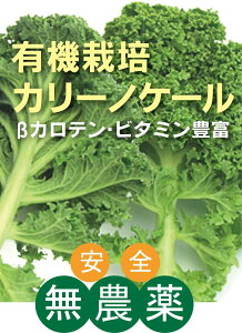 _P[@L@J[mP[100gpbN@L@JASi_EYjRYJ`Ar^~AJVEȂǂ̊ܗLʂ͖؂̒łgbvNXłB