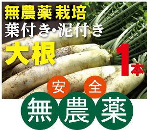 _卪ittEDtj1{RY_EYttłȂꍇ܂B