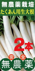 _卪@p卪ij2{_EYtYiFzip̗Lȕiłjʂ̑卪ƂĂg܂B