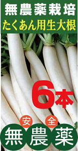 _卪@p卪ij6{_EYtYiFzip̗Lȕiłjʂ̑卪ƂĂg܂B