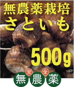 L@Ƃ@_򗢈500gi3`4jL@JASA_EYtRsY