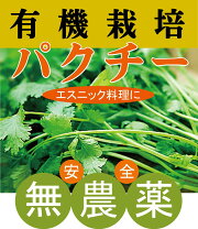 楽天市場】無農薬 パクチーの通販