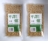 無農薬大豆平譯さんの畑から 大豆300g×2パック★2個までネコポス便可★北海道産100％：十勝平野で平譯さ…