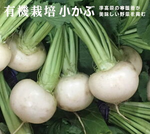 L@1pbNi4`7ʓF400gjL@JASRY_EY