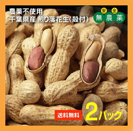 無農薬　煎り落花生（殻付き）180g×2パック★送料無料（コンパクト便で配送）★千葉県産★栽培期間中農薬不使用・無添加★殻付き