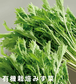 有機みず菜　無農薬水菜150g×1パック★有機JAS・無添加★島根産
