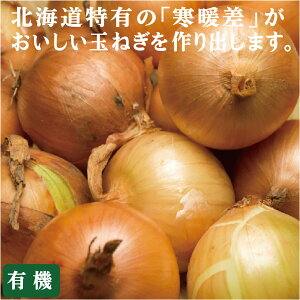 L@ʂ˂@kCY܂˂600g×1pbNL@JASkCY_EY