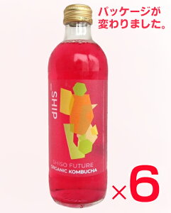 Y@I[KjbN _CGbgyfhNKOMBUCHA_SHIP V\t[`[iԃV\j i300mlj×6{①iKOMBUCHAiRu`j͍yƐ|_ۂ̂ƂȂyXp[NOeB