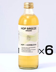 Y@I[KjbN_CGbgyfhNKOMBUCHA_SHIP zbvu[Y i300mlj×6{①iKOMBUCHAiRu`j͍yƐ|_ۂ̂ƂȂyXp[NOeB[lC}㏸
