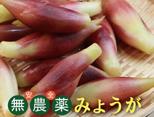_݂傤i50gF4jXY_EY