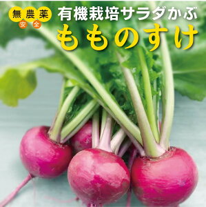 L@T_ԁÊ1pbNi2`5ʓF400gjL@JASRY_EYT_AsNXAЂȂǂ߂łBϕɂ͕słB