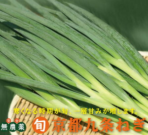 �{�̋���ؖ��_�����˂��@���s�̋���˂���150g�i2�`3�{�j×1�p�b�N�����s�{��O�s�Y�����_��E���Y��