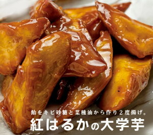 Y@Yg͂邩̑w150g×2pbNⓀiY܂g͂邩gpO̓JbƁA̓zNzN̖{iIȑwܖFⓀ30