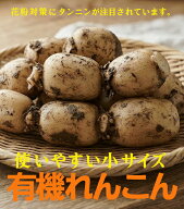 有機れんこん　小サイズ蓮根 400g×1パック千葉県産★ 有機JAS認証（無農薬・無化成肥料）