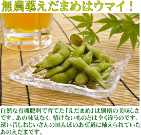 楽天市場 枝豆 無農薬の通販