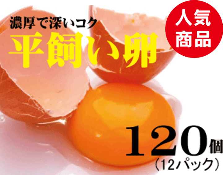 平飼い卵　Juellyfish様 北海道産】毎日食べたくなる平飼いたまご120個 | 北海道長沼町