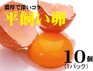 平飼い卵10個★飼料に抗生物質・遺伝子組み換え穀物不使用★放射線検査済★内閣総理大臣賞受賞農場・信州…