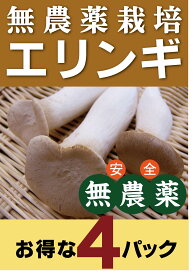 無農薬エリンギ100g×4パック★鳥取産（無農薬・無添加）