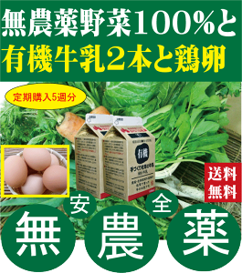 _؂ƗL@ƕwy5Tz_򂨖؃Zbgi7iځjƗL@500~bgy2{zƕy10zZbgT(EE)jy5Tz