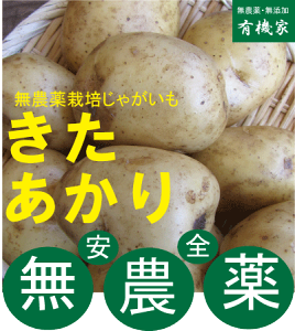 L@Ⴊ500gL@JASEYkCY~ߏ