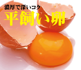 楽天市場 抗生物質 卵の通販 楽天市場 抗生物質 卵の通販