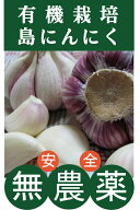 有機にんにく　島にんにく1パック（約1kg）★無農薬・無添加★鹿児島徳之島産