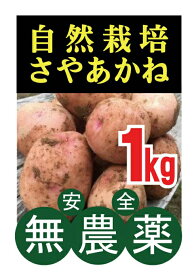 楽天市場 じゃがいも 種芋 1kgの通販